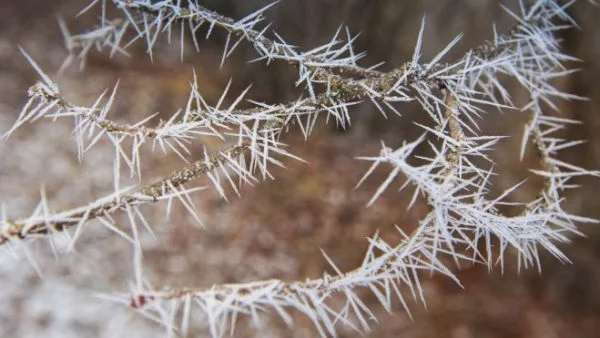 Дъжд, сняг и студ