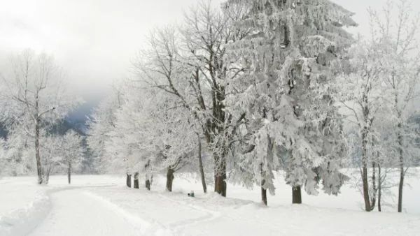От утре до средата на март - студ, дъжд и сняг