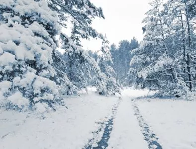 Свирепа снежна буря погреба Северна Япония