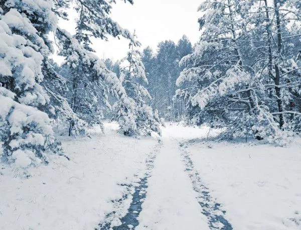 Снегът остави 3000 румънски домакинства без ток
