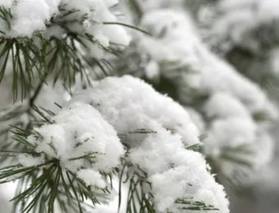 Жълт код за сняг и поледици е обявен за 14 области в Северна България за 30 ноември