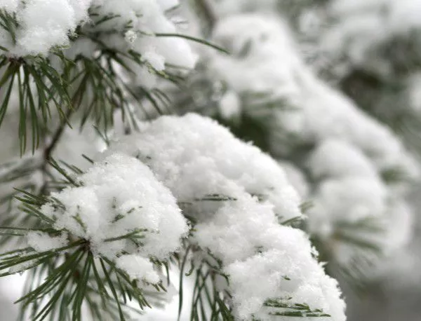 Жълт код за сняг и поледици е обявен за 14 области в Северна България за 30 ноември