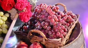 Спад с до 13% на производството на грозде