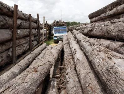 Износителите на дървесина блокират за половин ден два ГКПП