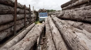 Камионите за дървесина вече задължително трябва да са с GPS