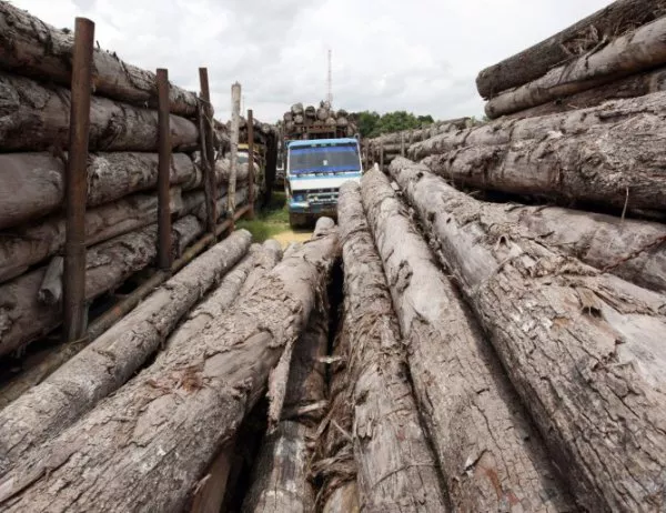Дървопреработвателно предприятие в Бургас ще бъде спряно при неизпълнение на мерките за чистота на въздуха