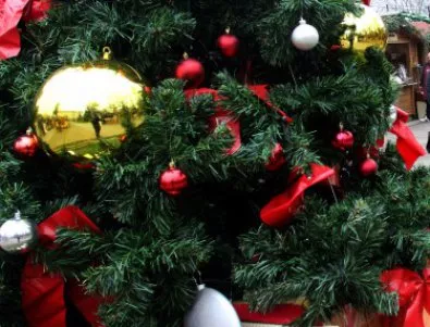 Коледната елха в София ще грейне пред НДК