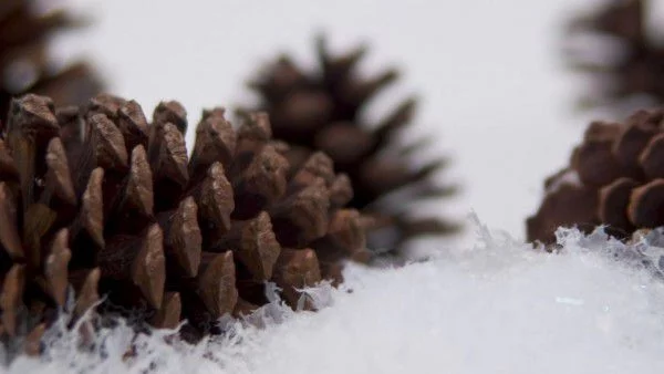 Облачен и дъждовен понеделник 