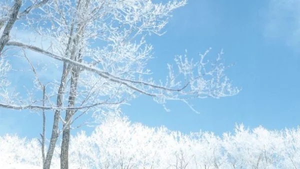 Снеговалежите в северозападните и планинските райони ще продължат