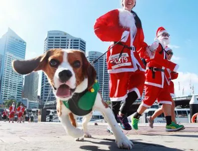 8 декември: Кой стана жена на годината и коледен маратон с кучета