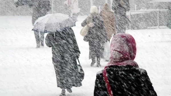 Тежката зимна буря в Холандия взе три жертви