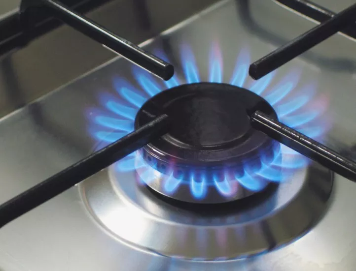 "Булгаргаз": Прогнозното повишение на цената на природния газ е обосновано 