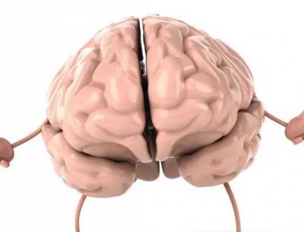 Какво кара мозъка да остарява?