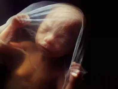 Изумително видео: Как става зачеването и развитието на бебето 