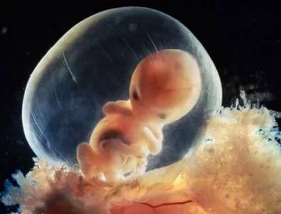 Британски учени ще модифицират човешки ембриони
