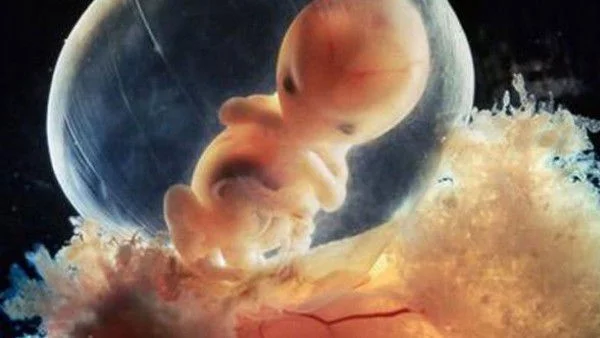 Британски учени ще модифицират човешки ембриони