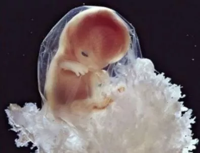 Модифицирането на ембриони - чудовищно или необходимо?
