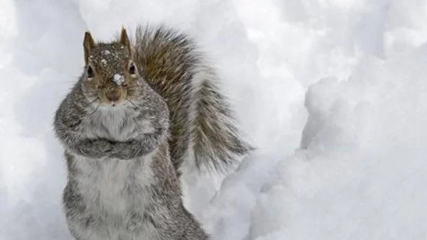 Нахлува студен въздух