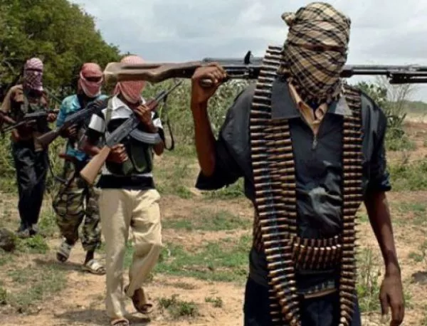 Страните от Западна Африка правят общ фронт срещу "Боко Харам"?