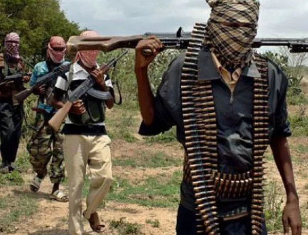 Лидерът на "Боко харам" признава убийства и сее заплахи