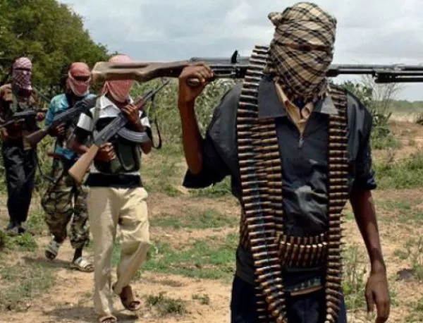 "Боко Харам" сеят смърт и в Нигер