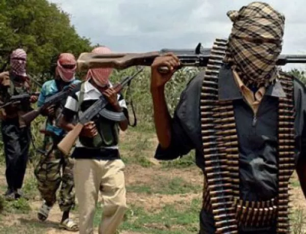Нигерия съобщи, че е убила над 300 екстремисти от "Боко Харам"