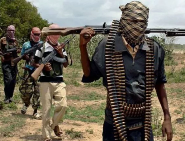 Част от отвлечените от "Боко Харам" ученички са родили деца на терористите