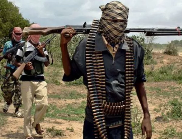 "Боко Харам": Заяваваме нашата вярност към "Ислямска държава"