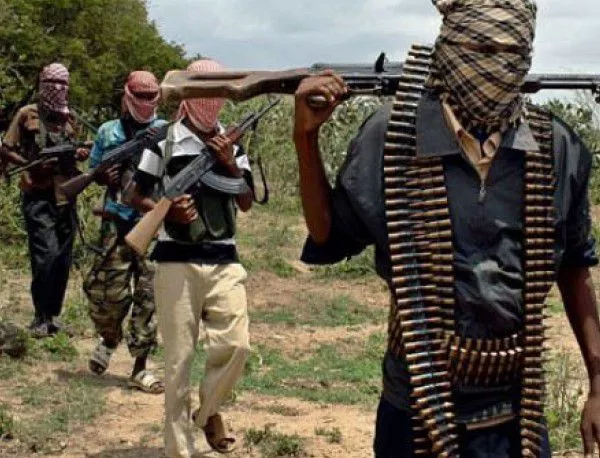 Нигерия е спасила около 700 души от "Боко Харам"