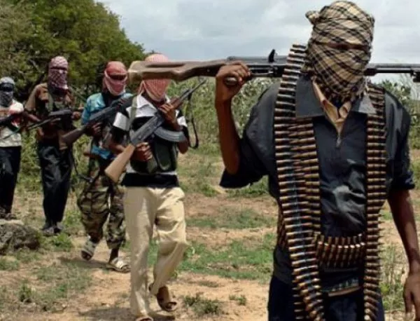 Нигерийски министър обяви победата над "Боко Харам"