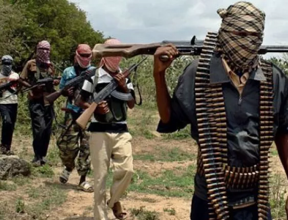 Армията на Нигерия е освободила 605 души от "Боко Харам"