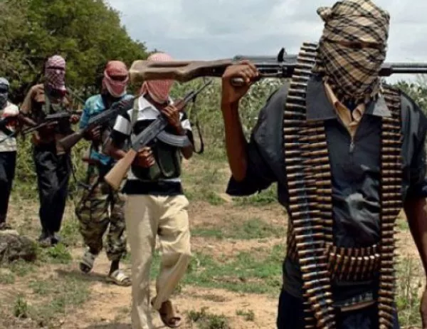 "Боко харам“ нападна нигерийски град, 14 души са убити