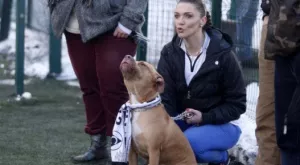 Мачовете по телевизията днес