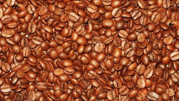 ТЕСТ за наблюдателност за 3 секунди