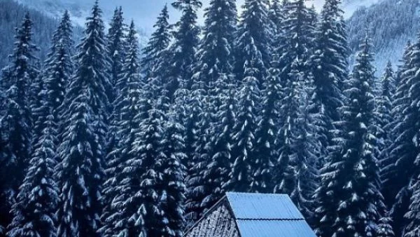 Никой не е по-велик от природата