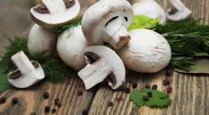 95% от печурките в българските магазини са полски