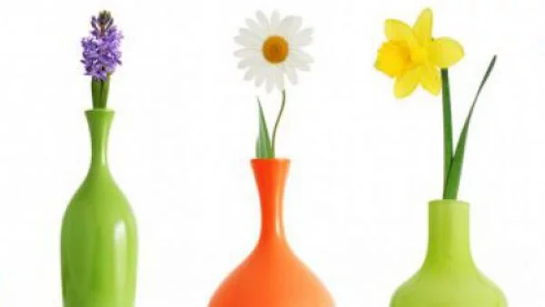 Тест: Изберете си цвете и научете нещо ново за себе си