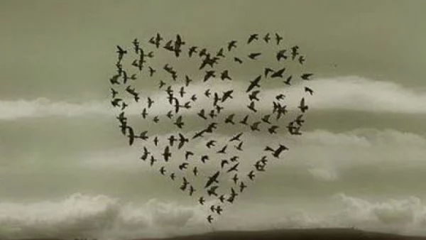 7 доказателства, че животът е прекрасен