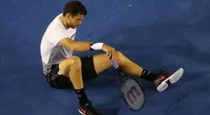 Французин нападна Григор