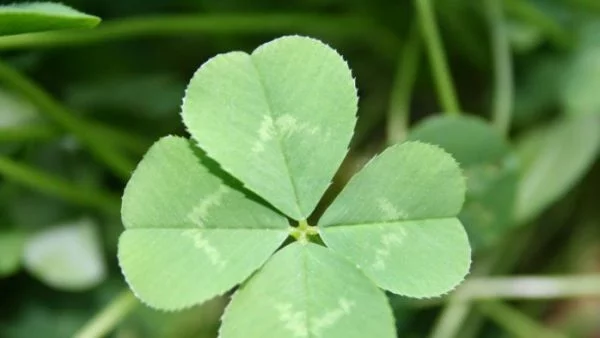 Какво трябва да направим, за да имаме късмет