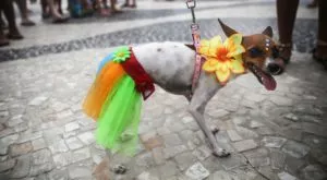 Ще паднете от стола с тези 5 изкъртващи истории