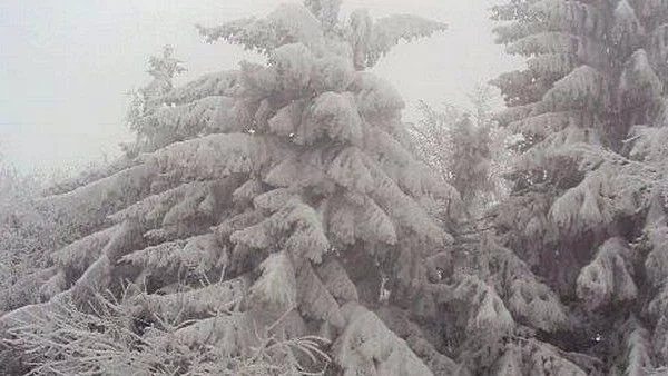 Жълт код в три области заради силен вятър