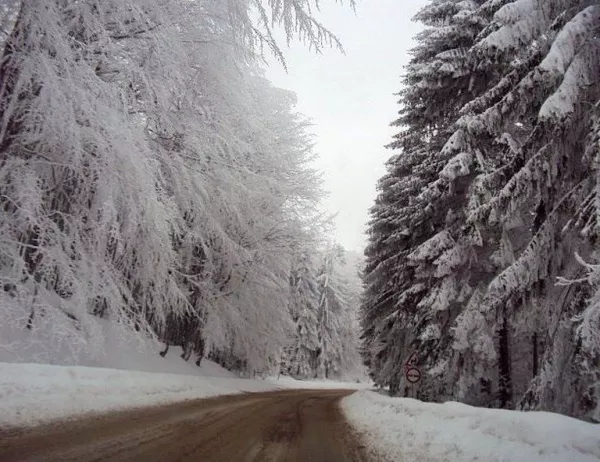 Сняг вали на прохода "Петрохан"