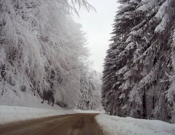 Най-обилен е снеговалежът на проходите Петрохан и Троянски