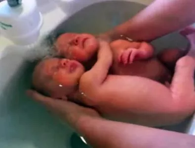 Неповторимата връзка между новородени близнаци (ВИДЕО)