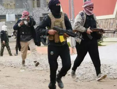 Сирийски джихадисти възторгнати от успеха на талибаните 