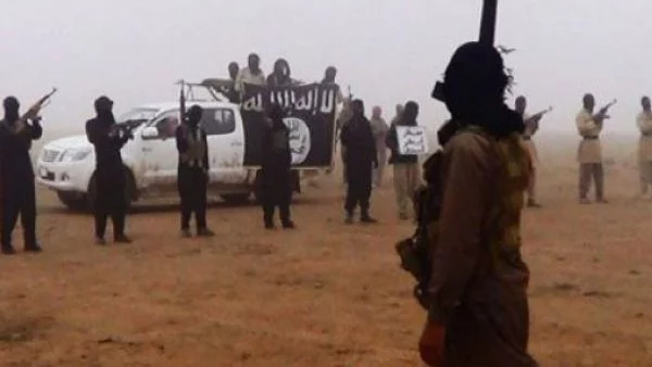 1 млрд. долара от транзит на наркотици получава ИД