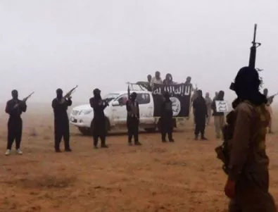 Експерти: Джихадистките атаки на Запад не са координирани от 