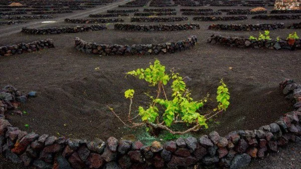 Вижте пейзажи от Земята и Луната на специална фотоизложба