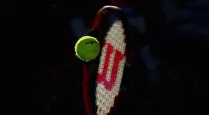 Игуана прекъсна мач от турнира в Маями (ВИДЕО)